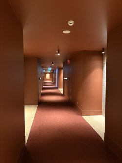 IMG_8201.jpeg