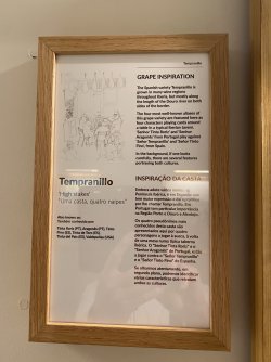IMG_6240.jpeg