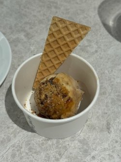 IMG_8897.jpeg