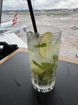IMG_2208.jpeg