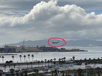 Gib 8.jpg Gib 8.jpg