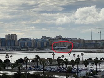 Gib 11.jpg Gib 11.jpg