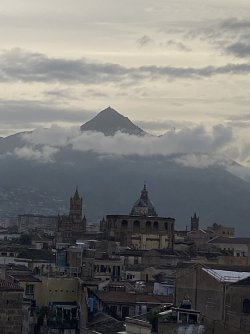 IMG_6337.jpeg