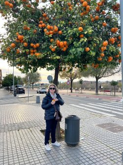 Cordoba 1.JPG