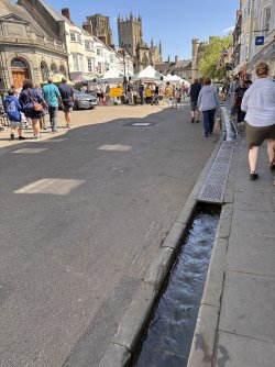IMG_2027.jpeg