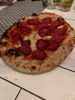 IMG_2410.jpeg