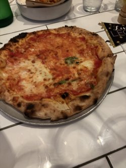 IMG_2411.jpeg