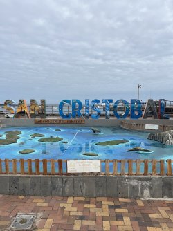 IMG_7731.jpeg