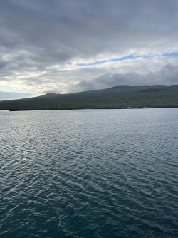 IMG_7713.jpeg