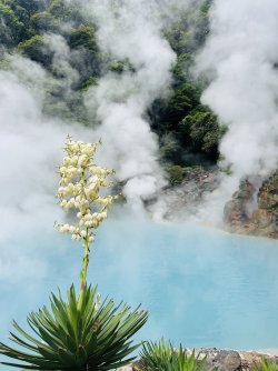 IMG_2940.jpeg