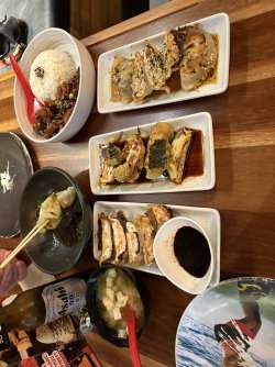 IMG_2451.jpeg