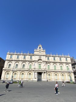 IMG_6380.jpeg