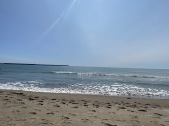 IMG_6420.jpeg