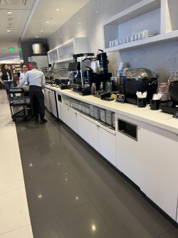 IMG_7883.jpeg