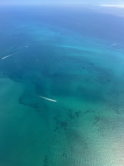 IMG_7866.jpeg