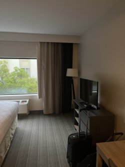 IMG_7910.jpeg