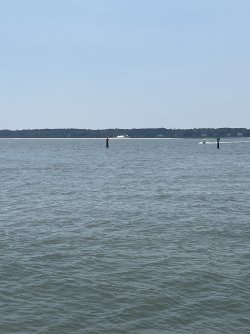 IMG_7937.jpeg