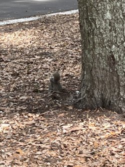 IMG_7935.jpeg