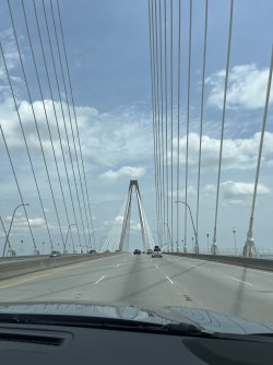 IMG_7950.jpeg
