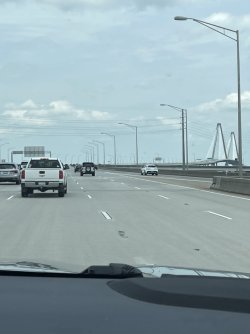 IMG_7949.jpeg