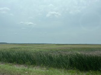 IMG_7947.jpeg
