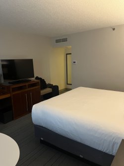 IMG_7980.jpeg