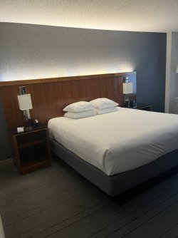 IMG_7979.jpeg