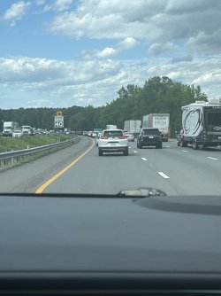 IMG_7978.jpeg
