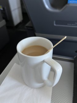 IMG_8011.jpeg