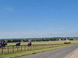 2025-05-20 10.08.55.jpg