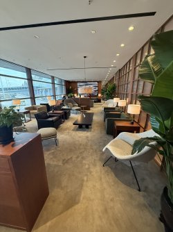 IMG_8972.jpeg