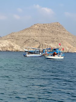 IMG_4560.jpg