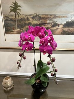 IMG_0489.jpg