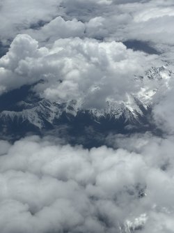 IMG_9081.jpeg