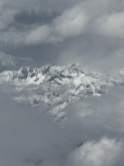 IMG_9086.jpeg