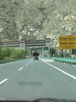 IMG_9135.jpeg