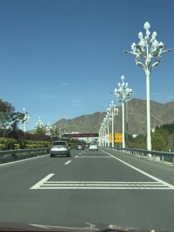 IMG_9139.jpeg