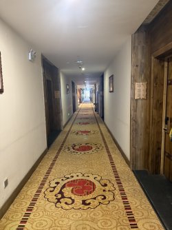 IMG_9147.jpeg