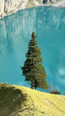 1748018229443.png