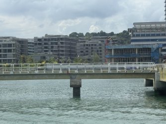 IMG_0566.jpg