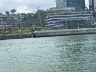 IMG_0567.jpg