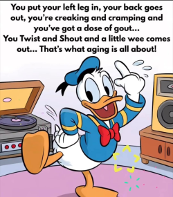 1748063456188.png