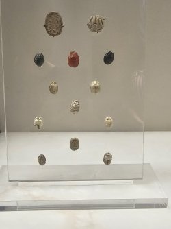 1000029217.jpg