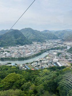 IMG_3118.jpeg