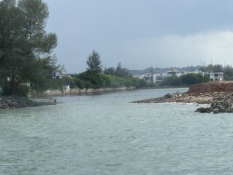 IMG_0592.jpg