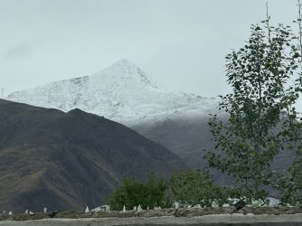IMG_9187.jpeg