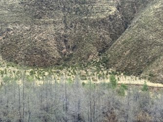 IMG_9196.jpeg