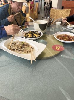 IMG_9253.jpeg