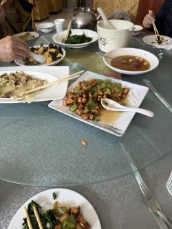 IMG_9255.jpeg