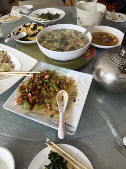 IMG_9256.jpeg